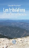 Les tribulations d'Amédée Airache (eBook, ePUB)