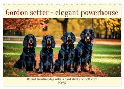 Gordon Setter - elegant powerhouse (Wall Calendar 2025 DIN A3 landscape), CALVENDO 12 Month Wall Calendar - Kleemann, Claudia