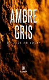 Ambre gris (eBook, ePUB)