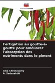 Fertigation au goutte-à-goutte pour améliorer l'absorption des nutriments dans le piment