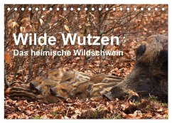 Wilde Wutzen. Das heimische Wildschwein (Tischkalender 2025 DIN A5 quer), CALVENDO Monatskalender