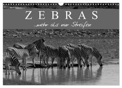Zebras - Mehr als nur Streifen (Wandkalender 2025 DIN A3 quer), CALVENDO Monatskalender