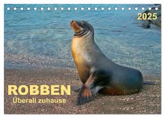 Robben - überall zuhause (Tischkalender 2025 DIN A5 quer), CALVENDO Monatskalender