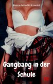 Gangbang in der Schule (eBook, ePUB)