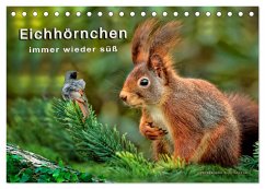 Eichhörnchen - immer wieder süß (Tischkalender 2025 DIN A5 quer), CALVENDO Monatskalender