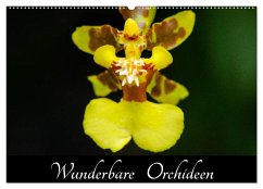 Wunderbare Orchideen (Wandkalender 2025 DIN A2 quer), CALVENDO Monatskalender