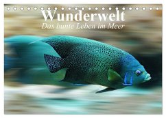 Wunderwelt. Das bunte Leben im Meer (Tischkalender 2025 DIN A5 quer), CALVENDO Monatskalender - Calvendo;Stanzer, Elisabeth