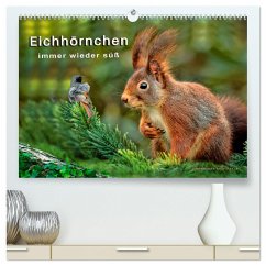 Eichhörnchen - immer wieder süß (hochwertiger Premium Wandkalender 2025 DIN A2 quer), Kunstdruck in Hochglanz
