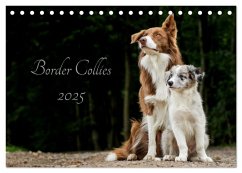 Border Collies 2025 (Tischkalender 2025 DIN A5 quer), CALVENDO Monatskalender - Calvendo;Hemlep, Christine