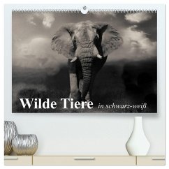 Wilde Tiere in schwarz-weiß (hochwertiger Premium Wandkalender 2025 DIN A2 quer), Kunstdruck in Hochglanz - Calvendo;Stanzer, Elisabeth