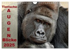Tierische Augen-Blicke 2025 (Wandkalender 2025 DIN A4 quer), CALVENDO Monatskalender - Calvendo;Wenner-Braun, Antje