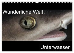 Wunderliche Welt Unterwasser (Wandkalender 2025 DIN A3 quer), CALVENDO Monatskalender