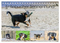 Entlebucher Sennenhund - treue Freunde (Tischkalender 2025 DIN A5 quer), CALVENDO Monatskalender - Calvendo;Schnellewelten