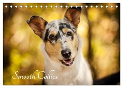 Smooth Collies (Tischkalender 2025 DIN A5 quer), CALVENDO Monatskalender