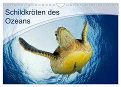 Schildkröten des Ozeans (Wandkalender 2025 DIN A4 quer), CALVENDO Monatskalender