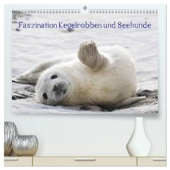 Faszination Kegelrobben und Seehunde 2025 (hochwertiger Premium Wandkalender 2025 DIN A2 quer), Kunstdruck in Hochglanz