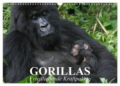 Gorillas. Friedliebende Kraftpakete (Wandkalender 2025 DIN A3 quer), CALVENDO Monatskalender