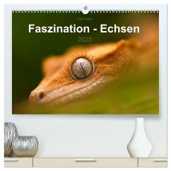 Faszination - Echsen (hochwertiger Premium Wandkalender 2025 DIN A2 quer), Kunstdruck in Hochglanz - Calvendo;Hilger, Axel