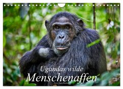 Ugandas wilde Menschenaffen (Wandkalender 2025 DIN A4 quer), CALVENDO Monatskalender