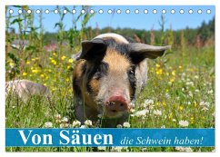 Von Säuen die Schwein haben! (Tischkalender 2025 DIN A5 quer), CALVENDO Monatskalender - Calvendo;Stanzer, Elisabeth