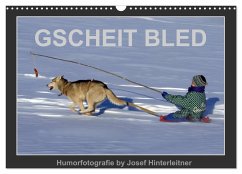 GSCHEIT BLED - Humorfotografie (Wandkalender 2025 DIN A3 quer), CALVENDO Monatskalender