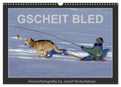 GSCHEIT BLED - Humorfotografie (Wandkalender 2025 DIN A3 quer), CALVENDO Monatskalender - Calvendo;Hinterleitner, Josef