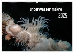 unterwasser makro 2025 (Wandkalender 2025 DIN A2 quer), CALVENDO Monatskalender - Calvendo;Weber-Gebert, Claudia