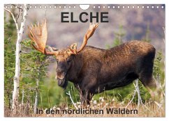 ELCHE In den nördlichen Wäldern (Wandkalender 2025 DIN A4 quer), CALVENDO Monatskalender