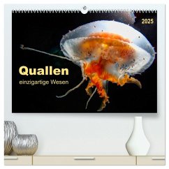 Quallen - einzigartige Wesen (hochwertiger Premium Wandkalender 2025 DIN A2 quer), Kunstdruck in Hochglanz