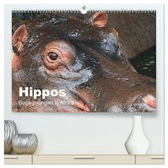 Hippos - Begegnungen in Afrika (hochwertiger Premium Wandkalender 2025 DIN A2 quer), Kunstdruck in Hochglanz - Calvendo;Herzog, Michael