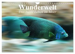 Wunderwelt. Das bunte Leben im Meer (Wandkalender 2025 DIN A4 quer), CALVENDO Monatskalender