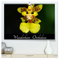 Wunderbare Orchideen (hochwertiger Premium Wandkalender 2025 DIN A2 quer), Kunstdruck in Hochglanz - Calvendo;Wöhlke, Jürgen