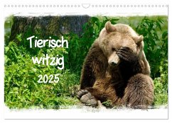 Tierisch witzig (Wandkalender 2025 DIN A3 quer), CALVENDO Monatskalender