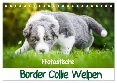 Pfotastische Border Collie Welpen (Tischkalender 2025 DIN A5 quer), CALVENDO Monatskalender