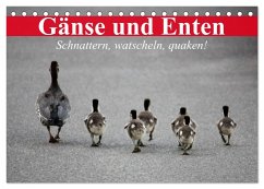 Gänse und Enten. Schnattern, watscheln, quaken! (Tischkalender 2025 DIN A5 quer), CALVENDO Monatskalender - Calvendo;Stanzer, Elisabeth