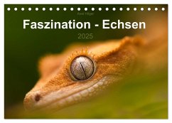 Faszination - Echsen (Tischkalender 2025 DIN A5 quer), CALVENDO Monatskalender