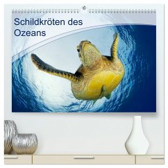 Schildkröten des Ozeans (hochwertiger Premium Wandkalender 2025 DIN A2 quer), Kunstdruck in Hochglanz - Calvendo;Jager, Henry