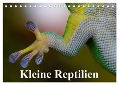 Kleine Reptilien (Tischkalender 2025 DIN A5 quer), CALVENDO Monatskalender