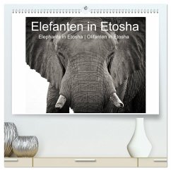Elefanten in Etosha (hochwertiger Premium Wandkalender 2025 DIN A2 quer), Kunstdruck in Hochglanz - Calvendo;van der Wiel, Irma