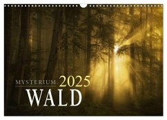 Mysterium Wald (Wandkalender 2025 DIN A3 quer), CALVENDO Monatskalender