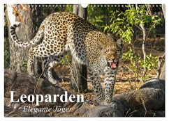 Leoparden. Elegante Jäger (Wandkalender 2025 DIN A3 quer), CALVENDO Monatskalender