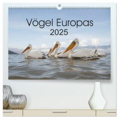 Vögel Europas 2025 (hochwertiger Premium Wandkalender 2025 DIN A2 quer), Kunstdruck in Hochglanz