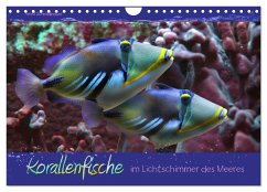 Korallenfische im Lichtschimmer des Meeres (Wandkalender 2025 DIN A4 quer), CALVENDO Monatskalender