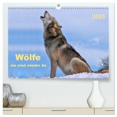 Wölfe - sie sind wieder da (hochwertiger Premium Wandkalender 2025 DIN A2 quer), Kunstdruck in Hochglanz