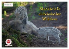 GEOclick Lernkalender: Steckbriefe einheimischer Wildtiere (Wandkalender 2025 DIN A2 quer), CALVENDO Monatskalender