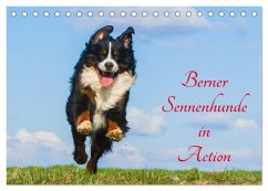 Berner Sennenhunde in Action (Tischkalender 2025 DIN A5 quer), CALVENDO Monatskalender