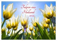 Tulpen aus Holland (Wandkalender 2025 DIN A3 quer), CALVENDO Monatskalender