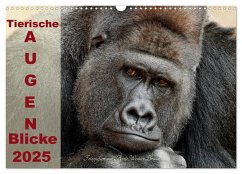Tierische Augen-Blicke 2025 (Wandkalender 2025 DIN A3 quer), CALVENDO Monatskalender - Calvendo;Wenner-Braun, Antje
