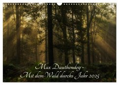 Max Dauthendey - Mit dem Wald durchs Jahr (Wandkalender 2025 DIN A3 quer), CALVENDO Monatskalender - Calvendo;Wally