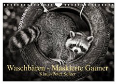 Waschbären - Maskierte Gauner (Wandkalender 2025 DIN A4 quer), CALVENDO Monatskalender - Calvendo;Selzer, Klaus-Peter